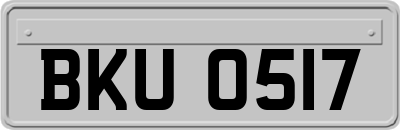 BKU0517