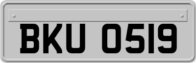BKU0519