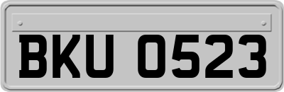 BKU0523
