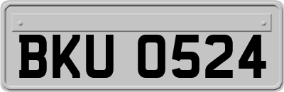 BKU0524