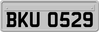 BKU0529
