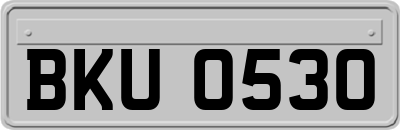 BKU0530