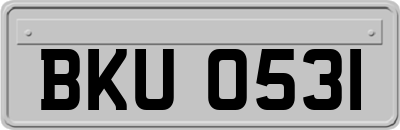BKU0531