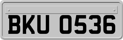 BKU0536