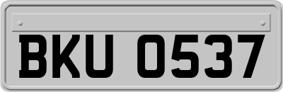 BKU0537