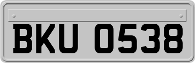 BKU0538