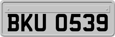 BKU0539