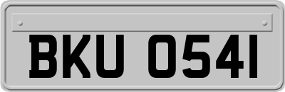 BKU0541