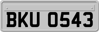 BKU0543