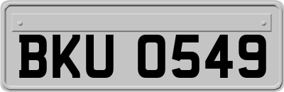 BKU0549