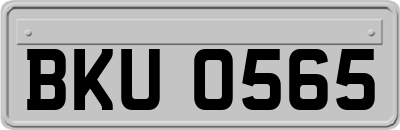 BKU0565