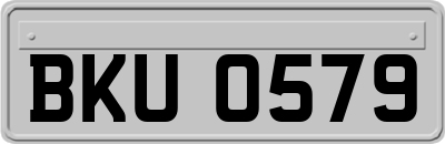 BKU0579