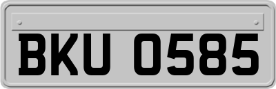 BKU0585