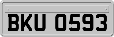 BKU0593