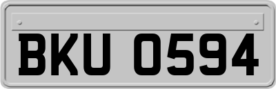 BKU0594