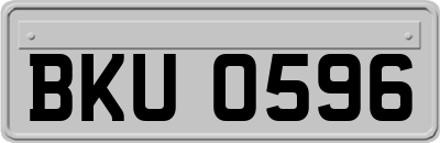 BKU0596