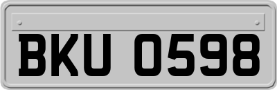 BKU0598