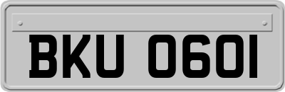BKU0601