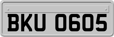 BKU0605