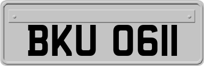 BKU0611