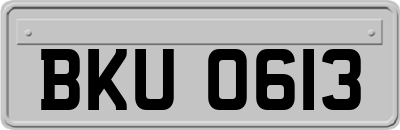 BKU0613