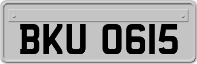BKU0615