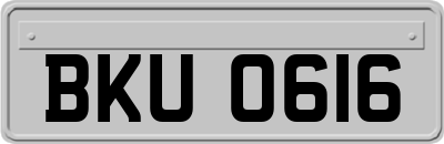 BKU0616