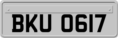 BKU0617