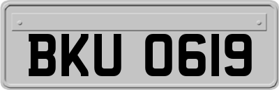 BKU0619