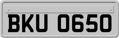 BKU0650