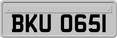 BKU0651