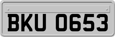 BKU0653