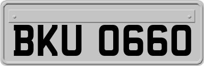BKU0660