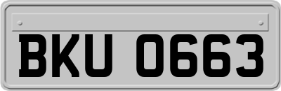 BKU0663