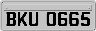 BKU0665