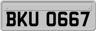 BKU0667