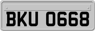 BKU0668
