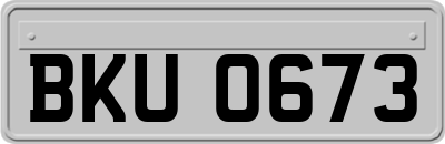 BKU0673