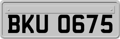 BKU0675