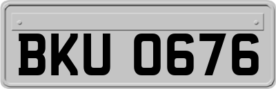 BKU0676