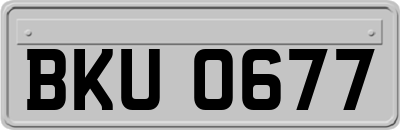 BKU0677