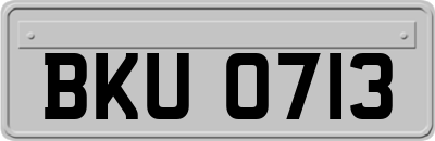 BKU0713