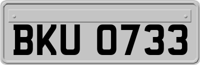 BKU0733