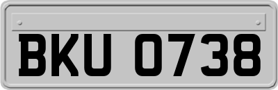 BKU0738