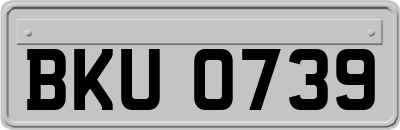 BKU0739