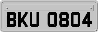 BKU0804