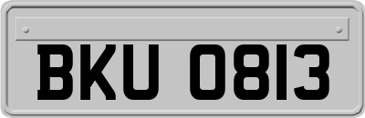 BKU0813