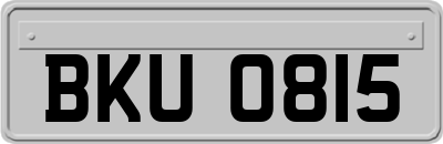 BKU0815