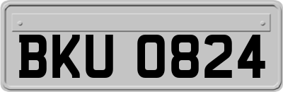 BKU0824