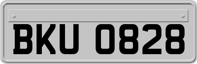 BKU0828